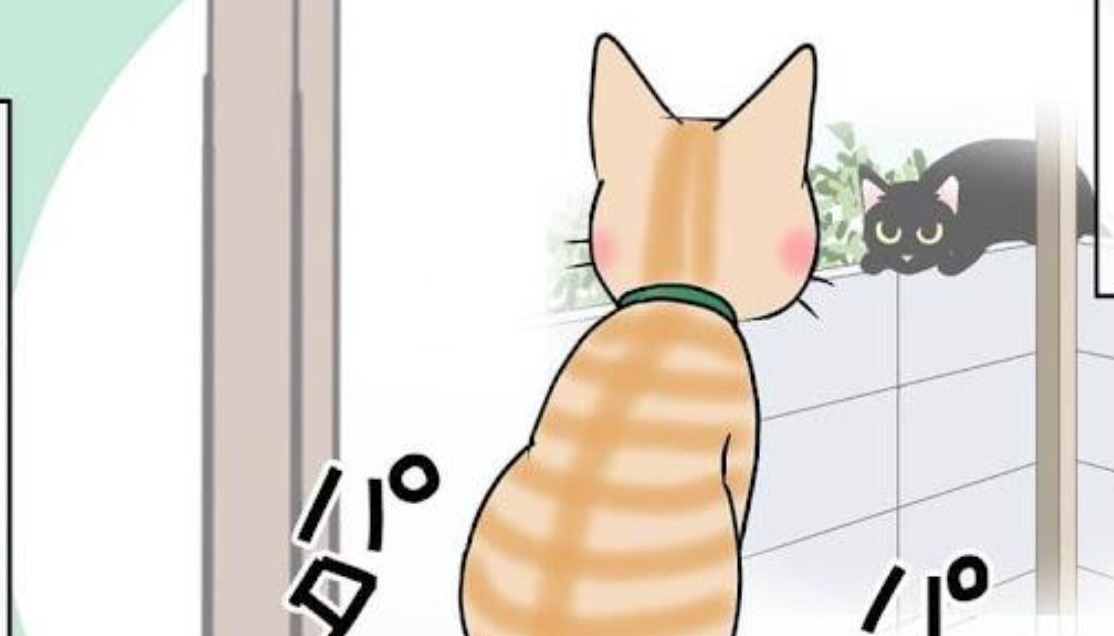 【漫画】第50話：見てるだけ♪網戸越しに外の猫を見つめるニャンコにほっこり【まるくん】