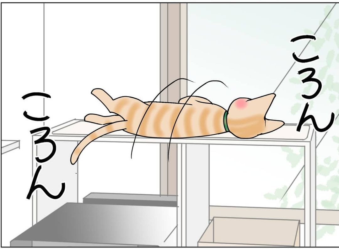 猫　寝返り　漫画