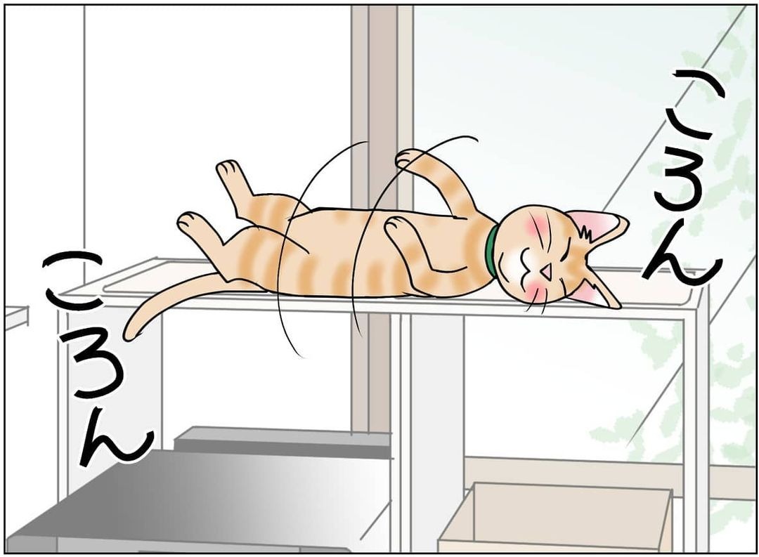 猫　寝返り　漫画