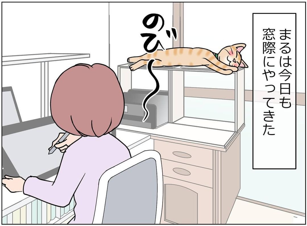 猫　窓際　漫画