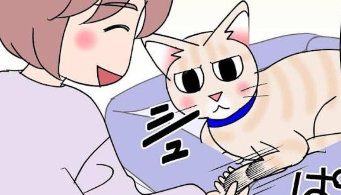 【漫画】第53話：握手はイヤ！触られた手を秒で引っ込める猫くんが超可愛い♡【麦くん】