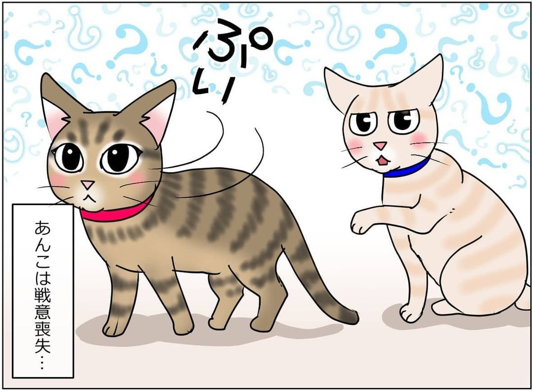 猫　繊維喪失　漫画