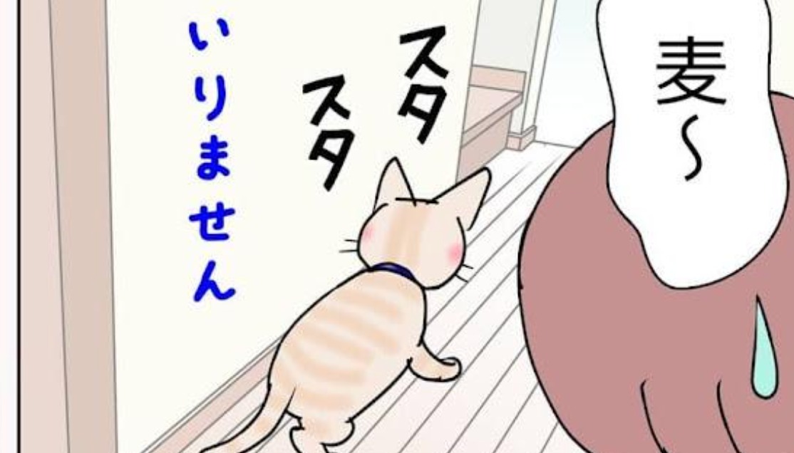 【漫画】第58話：ひざ掛けは好きだけどおひざは嫌い？ママさんの誘いを断る猫くん【麦くん】