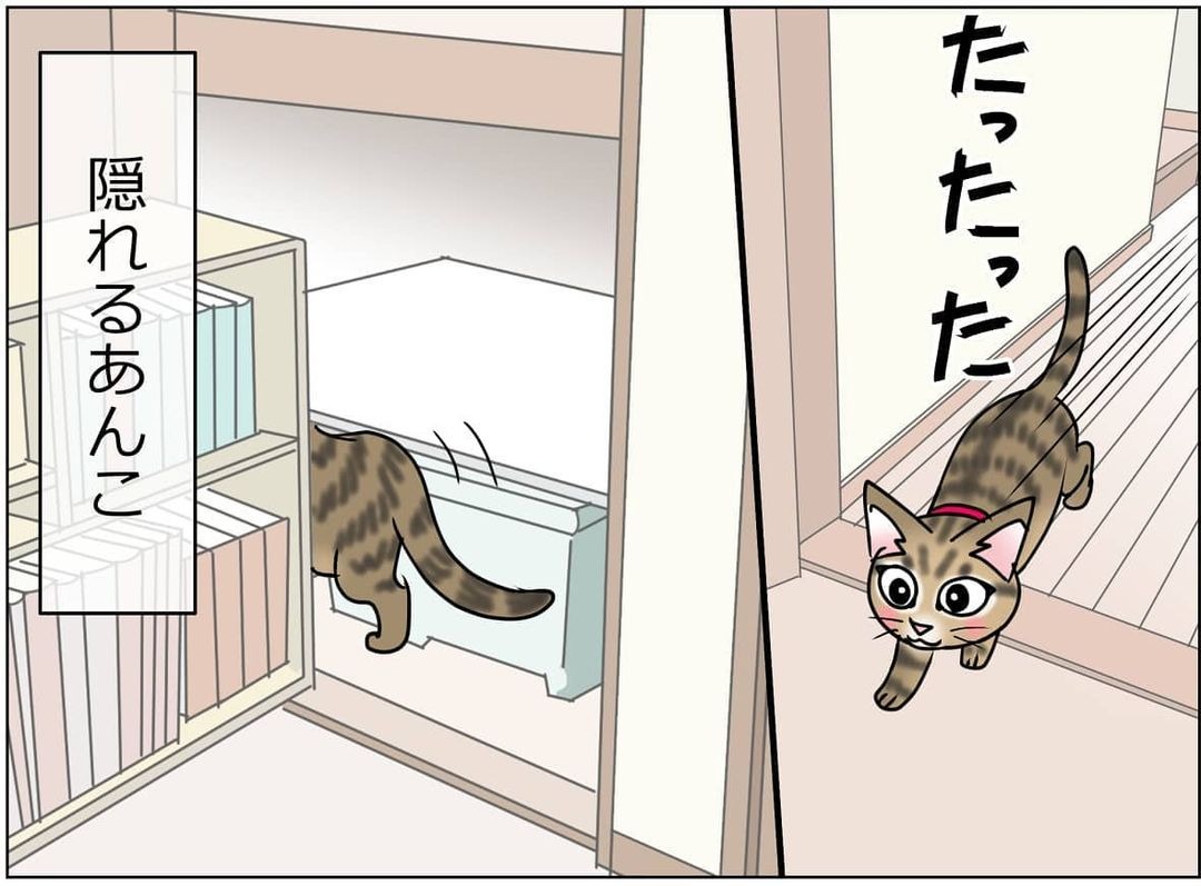 猫　隠れる　漫画