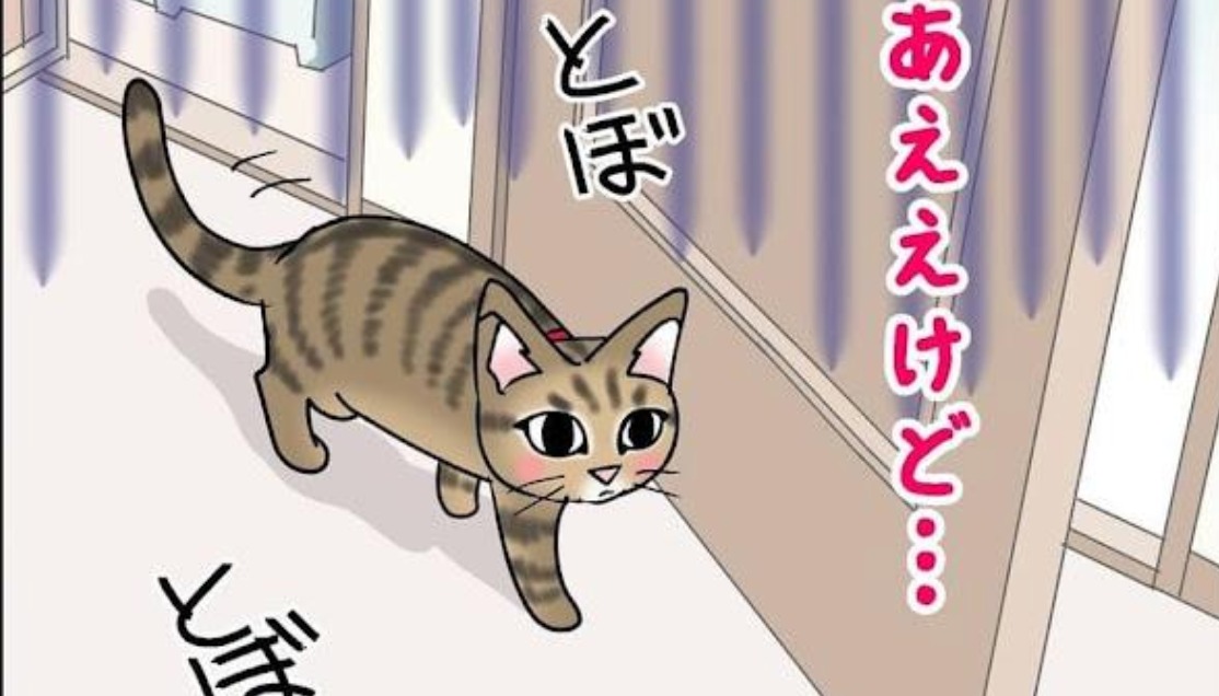 【漫画】第61話：見つけてもらえなくてシュン…。久々のかくれんぼに張り切る猫ちゃん【あんこちゃん】