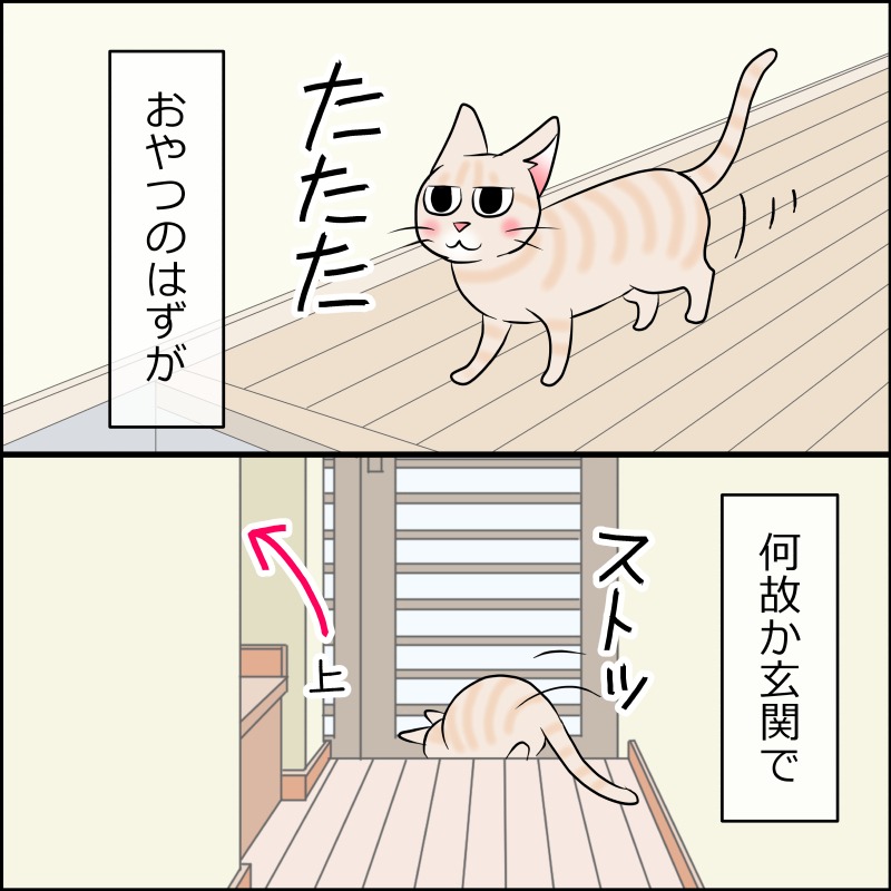 猫　移動　漫画