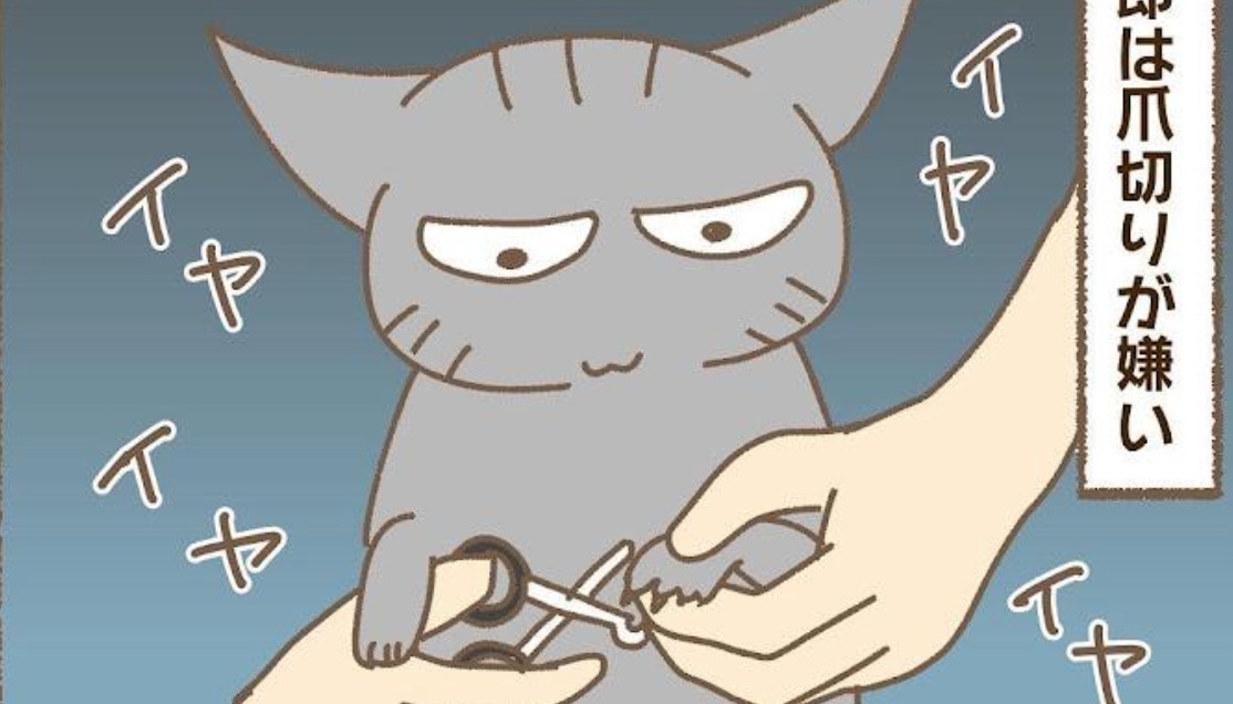 【漫画】第182話：ふてくされても可愛い♡イヤイヤ爪を切られる猫さんにキュン【あめ次郎ちゃん】