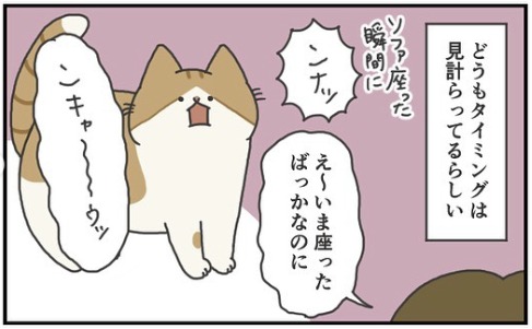 猫　タイミング　漫画