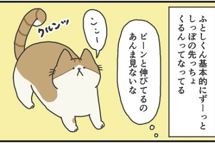 【漫画】第148話：幸せを感じているよ♡猫くんの尻尾がくるんとなっている理由とは？【ふとしくん】