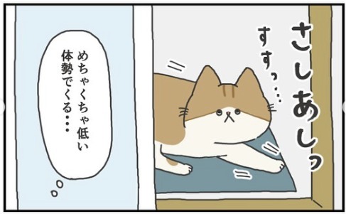 猫　低い　漫画