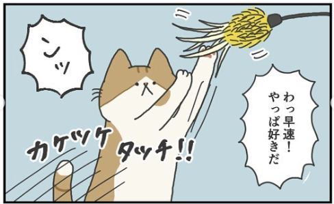 猫　興奮　漫画