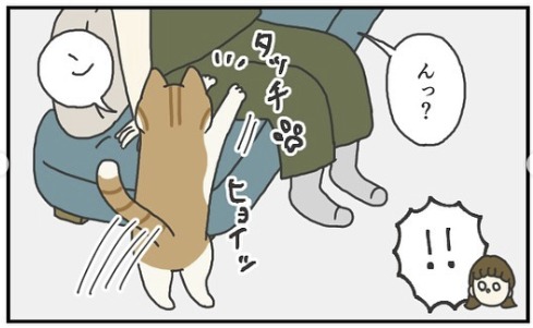 猫　タッチ　漫画