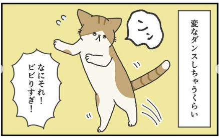 猫　ダンス　漫画