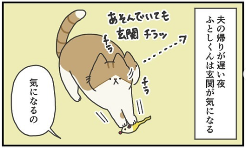 猫　玄関　漫画