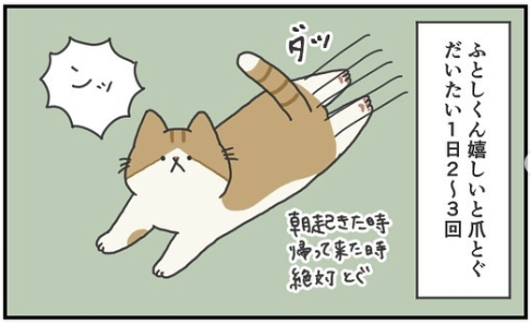 猫　ルーティーン　漫画