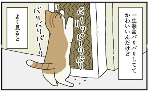 猫　爪とぎ　漫画