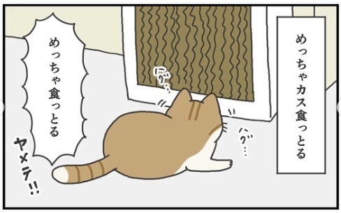 猫　カス　漫画