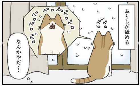 猫　舐める　漫画