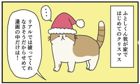 猫　帽子　漫画