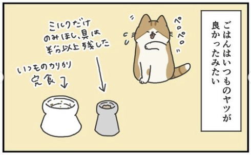 猫　ごはん　漫画
