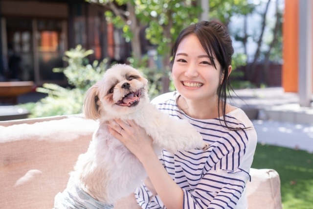 【2023年版】福岡県の犬と入れるドッグカフェ・レストラン一覧をご紹介！