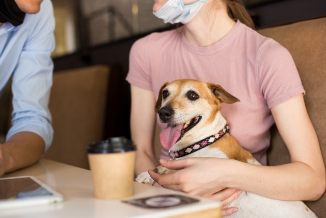 【2023年版】佐賀県の犬と入れるドッグカフェ・レストラン一覧をご紹介！