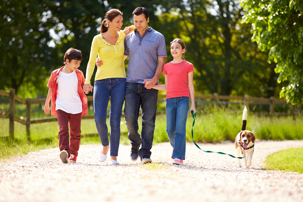家族と一緒に散歩する犬