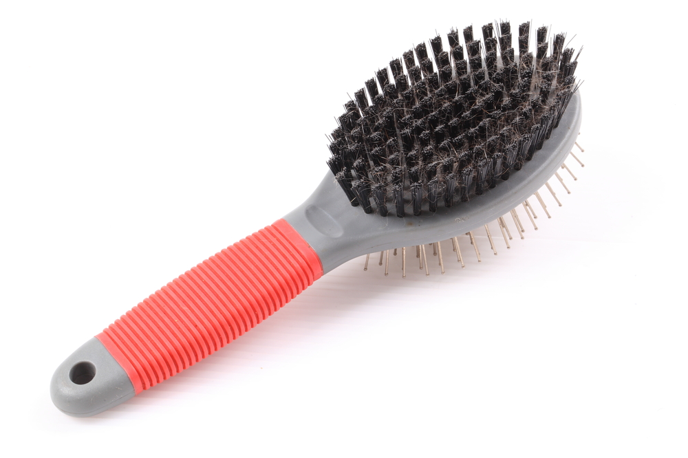 A closeup shot of a dogs grooming brush