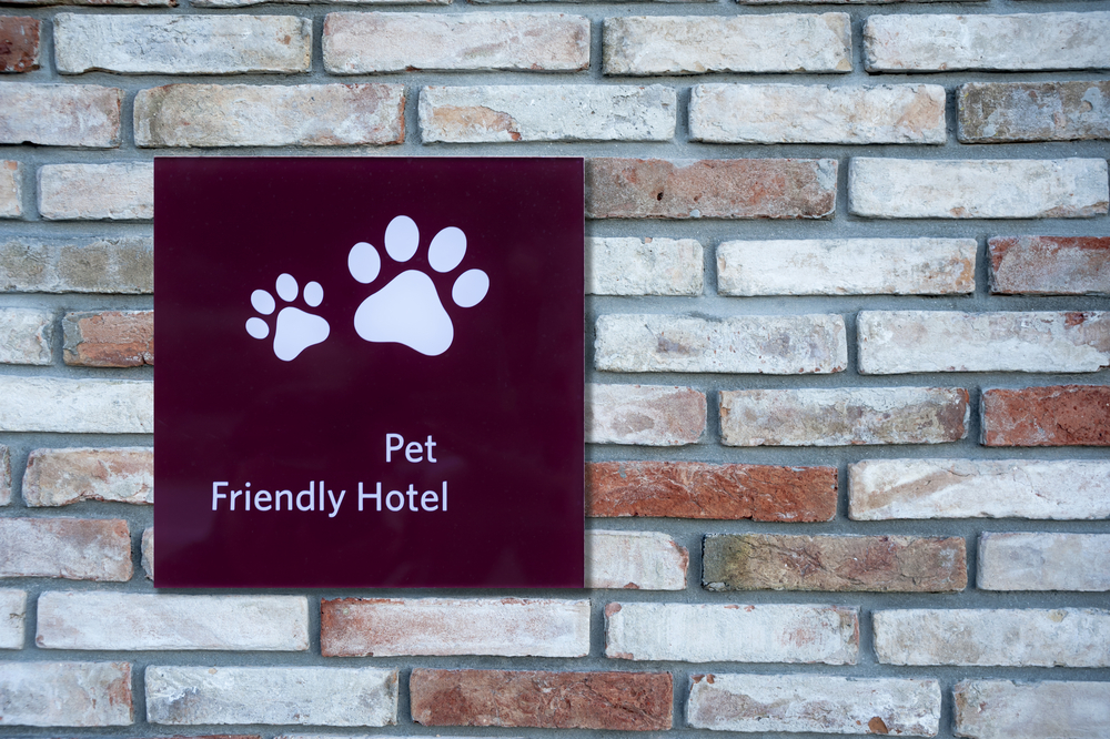 ペットホテルの料金はどのくらい？犬を預ける場合の値段の相場や環境をチェック！