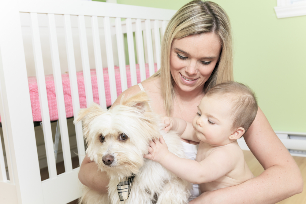 A Baby and Dog playing in the bedroom