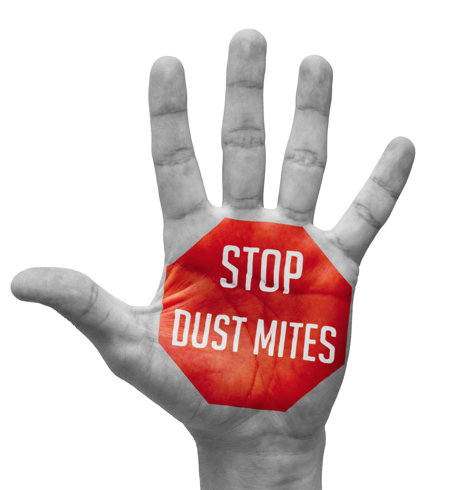 Stop Dust Mite - Red Sign Painted - Open Hand Raised, Isolated on White Background