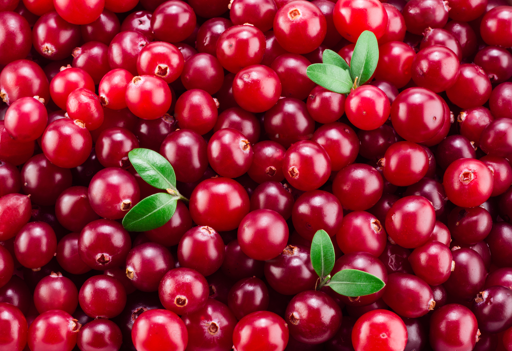 Cranberry with leaves. Red background.