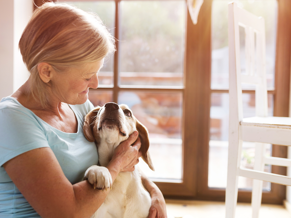 高齢犬に必要な栄養素とおすすめのサプリメント5選！
