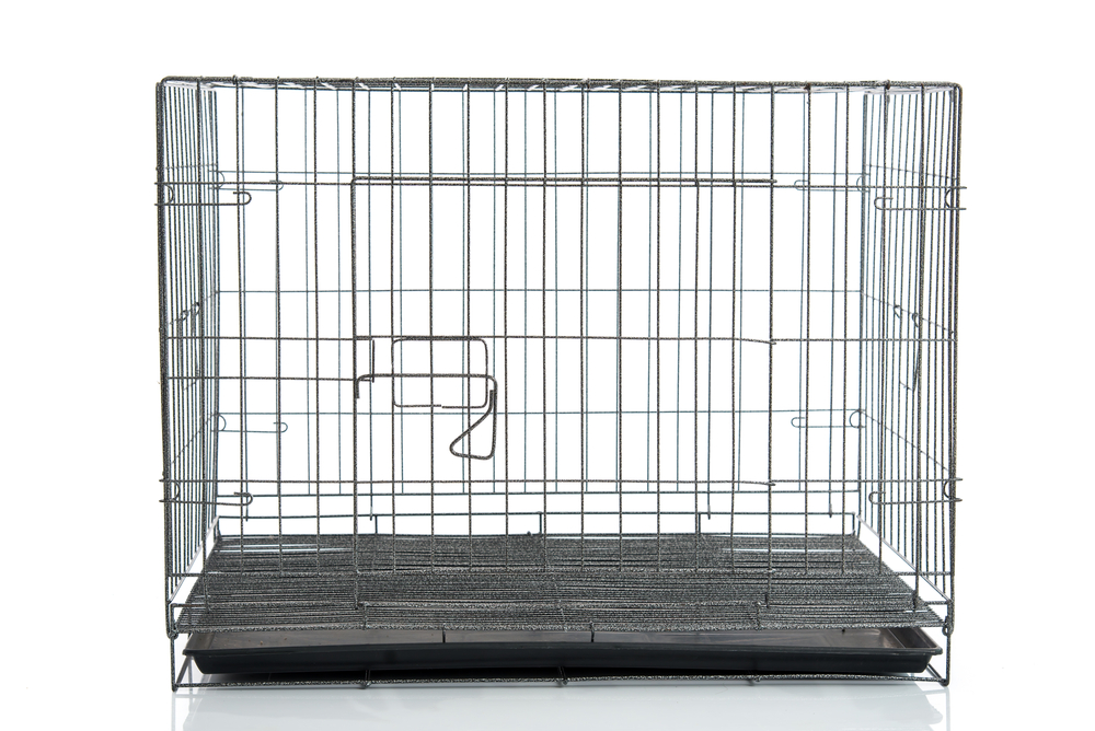 wire dog crate or animal cage on white background isolated