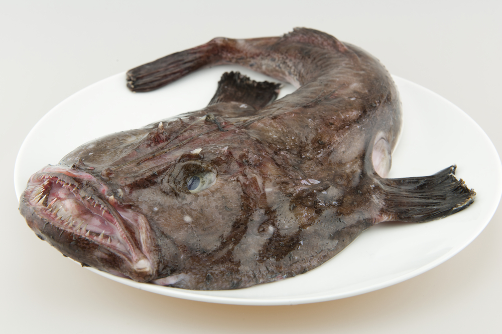 Raw monkfish
