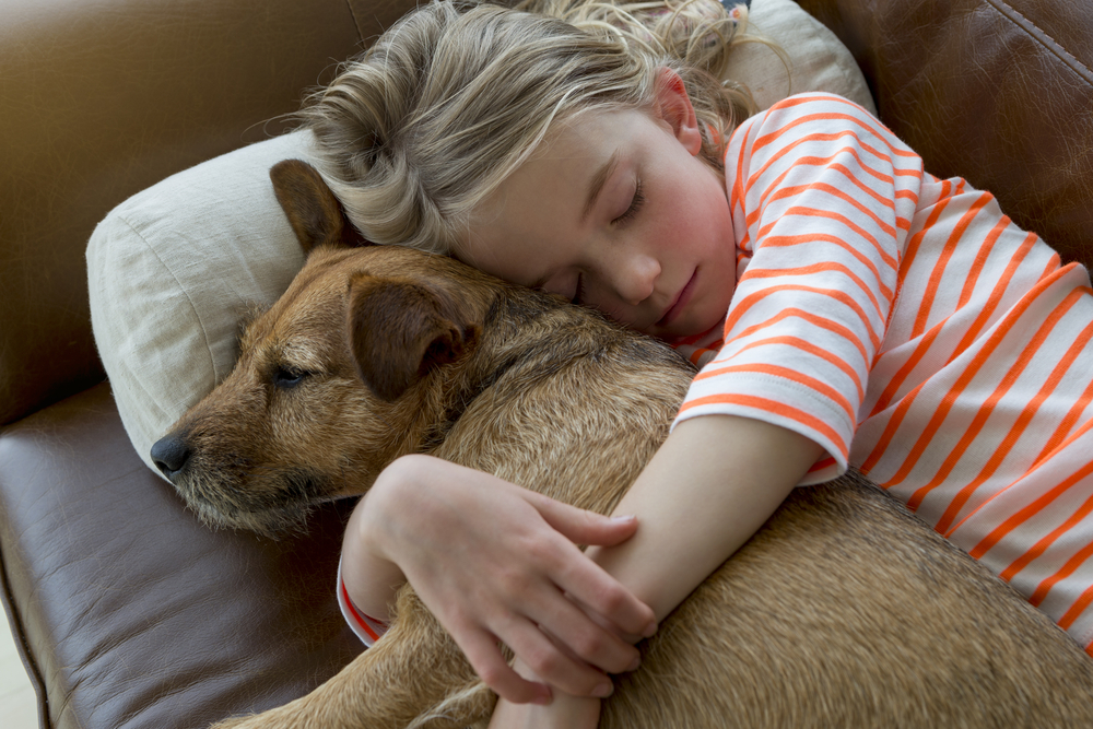 Young girl cuddling her pet dog on a sofa at home.
