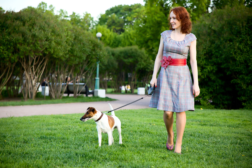 伸縮リード　公園　女性　犬　散歩