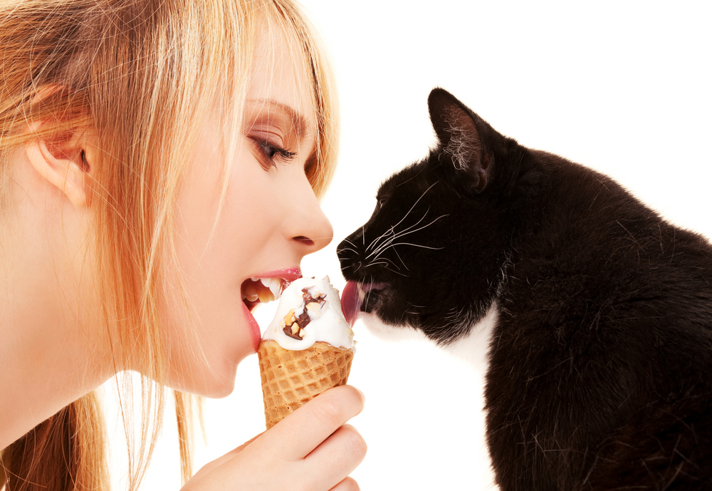 picture of lovely girl and cat with ice cream