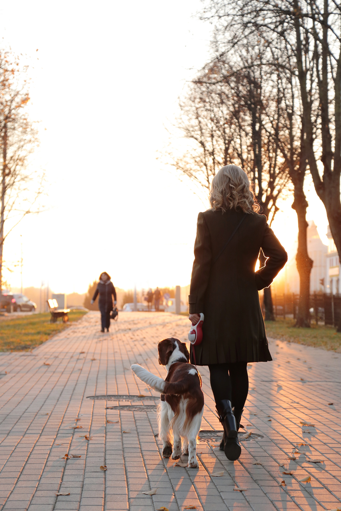 Girl with a dog on the street