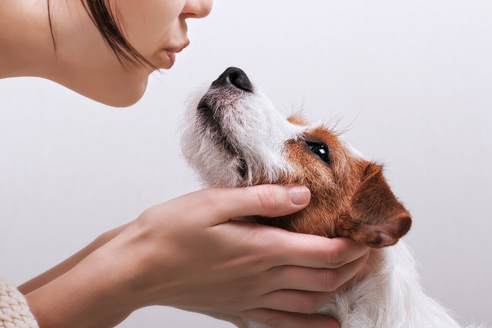 【ドッグトレーナー監修】犬の噛み癖を治したい。しつけ方や噛みグセ防止策を解説！