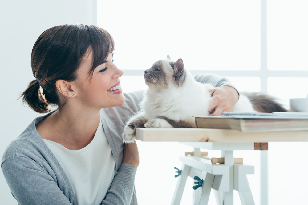 Happy smiling woman at home cuddling and holding her lovely cat on a table, pets and togetherness concept