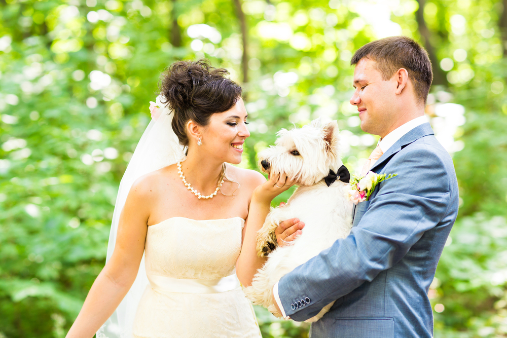 結婚式に愛犬を同席させたい！最近注目のペットウエディングについて詳しく紹介！