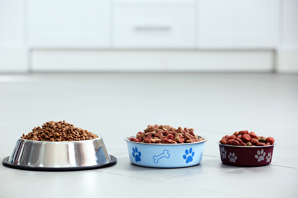 Pet food in metal bowls on a floor.