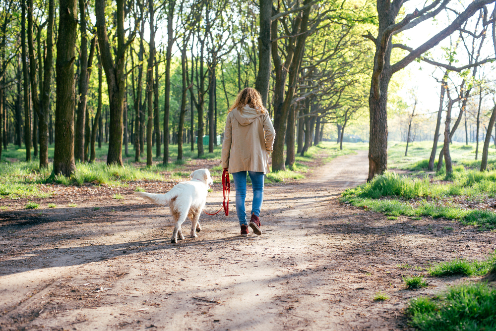 少女と散歩する犬