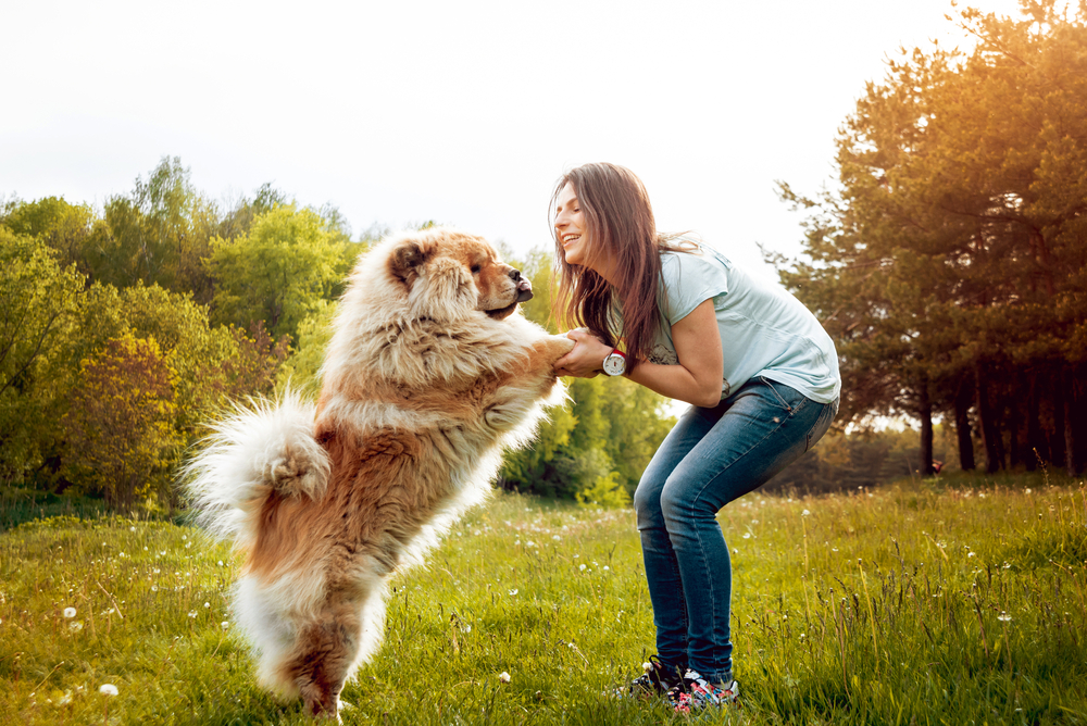 Young woman with the dogs in the park.