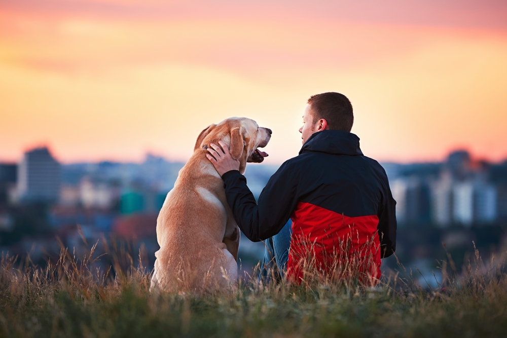 Enjoying sun. Man is caressing yellow labrador retriever. Young man sitting on the hill with his dog. Amazing sunrise in the city. Prague in Czech Republic.