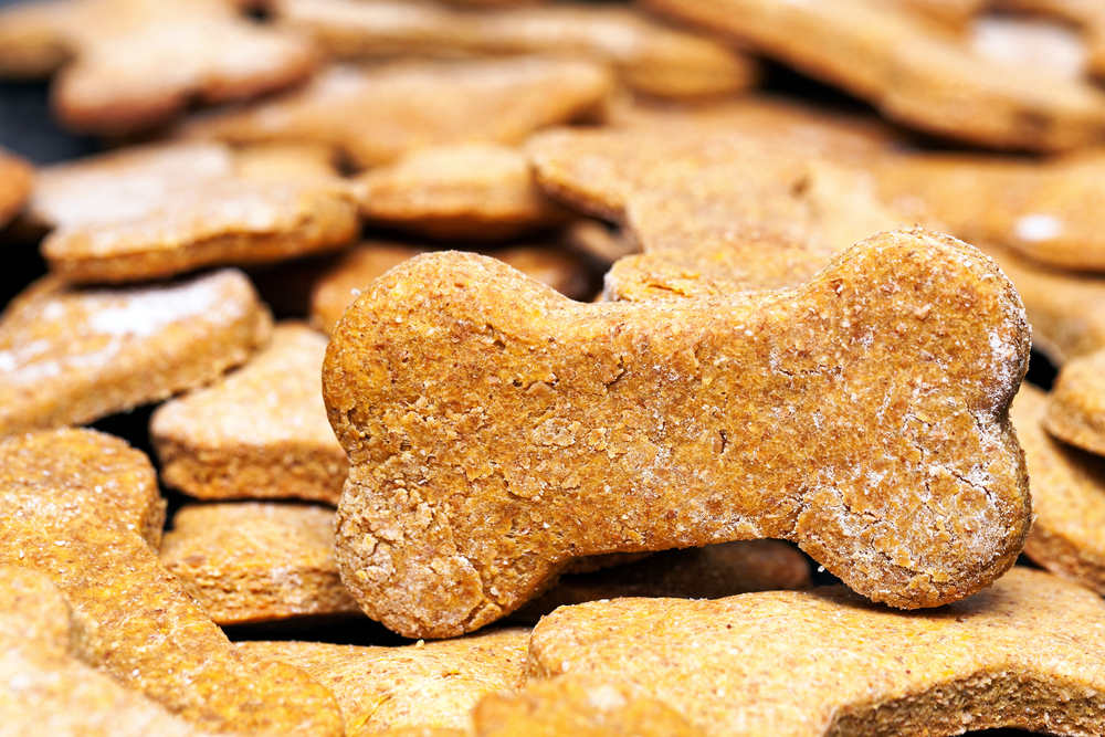 Large batch of bone-shaped homemade dog cookies with selective focus on one treat