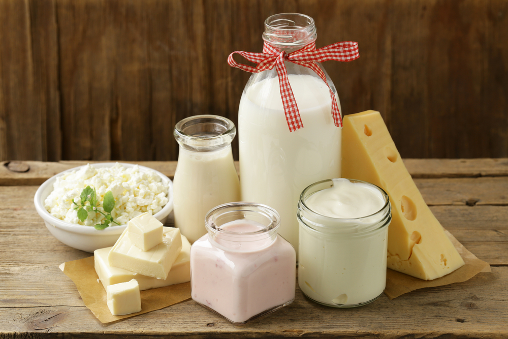 牛乳、チーズ、ヨーグルトなどテーブルに並べられた乳製品