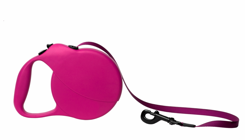 retractable leash for dog