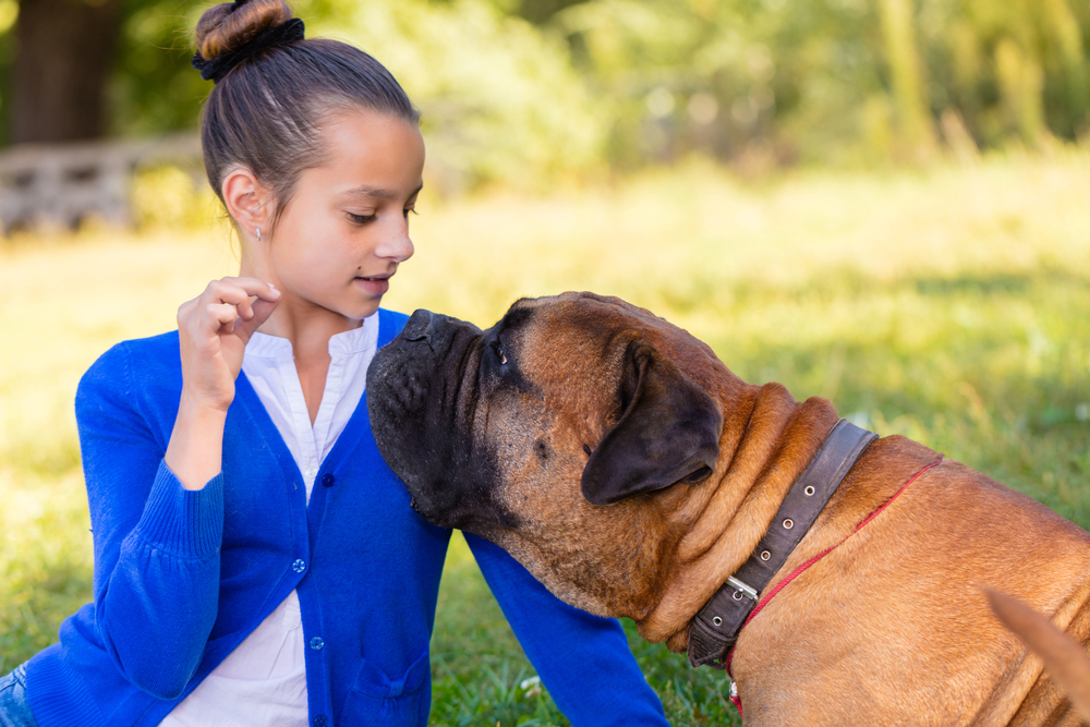 teen girl with the dog Bullmastiff outdoors